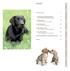 I. Faszination Labrador Retriever der menschenfreundliche Hund. II. Welpenzauber Von der Geburt bis zum 5. Monat