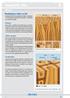 Stamm(fuß): Fäule. Wissen. Baum-Check Arbeitsblatt zur einfachen und schnellen Baumkontrolle nach VTA. Morphologischer Aufbau von Holz.