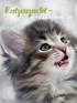 Katzenzucht. eine grosse Verantwortung. Katzen Magazin 1/16