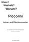 Lehrer- und Elternkommentar zu Piccolini für Querfl öte und Saxophon. Piccolini. Lehrer- und Elternkommentar