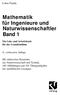 Mathematik für Ingenieure und Naturwissenschaftler Band 1