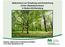 Maßnahmen zur Erhaltung und Entwicklung lichter Waldlebensräume in Baden-Württemberg