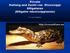 Private Haltung und Zucht von Mississippi Alligatoren (Alligator mississippiensis) Von Uwe Ringelhan