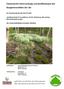 Faunistische Untersuchung von Quellbiotopen der Hangleitenwälder der Alz