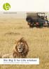leads.akademie Die Big 5 for Life erleben eine achtsame Safari nach Kenia