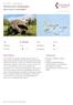 Höhepunkte Galapagos. Ecuador Galapagos. Naturreise & Inselhüpfen DIAMIR-Tourcode: ECUHPG. Höhepunkte. Beschreibung. Preis ab 1390 EUR Dauer 6 Tage