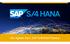 Der digitale Kern: SAP S/4HANA Finance