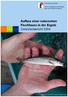 Aufbau einer naturnahen Fischfauna in der Ergolz Zwischenbericht 2004