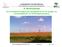 19. Windenergietage Die Landesforstverwaltung als Vertragspartner bei der Vergabe von Landeswaldflächen zur Windenergieerzeugung