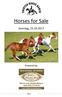 Horses for Sale. Sonntag, Powered by. Seite 1