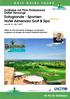 Golfreise mit PGA Professional Detlef Hennings Sotogrande - Spanien Hotel Almenara Golf & Spa