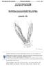 Grundlagen der Anatomie Unterarmmuskulatur O. Sievers -0- ANATOMIE UNTERARMMUSKULATUR MODUL VII