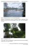 24 Jahre später: Vorland mit fortgeschrittener Vegetationsentwicklung (rechts) sowie befestigtes Prallufer (links) / Foto: agwa,