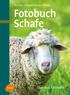 Fischer Rieder Kuhn Volk. Fotobuch Schafe. 2. Auflage 680 Farbfotos