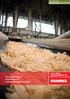 Sonderlösungen WoodTechProtect. WoodTechProtect Brandschutz für Holzbearbeitungsmaschinen