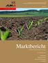 Marktbericht. GETREIDE UND ÖLSAATEN Juli AUSGABE Marktbericht der AgrarMarkt Austria für den Bereich Getreide und Ölsaaten
