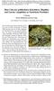 Rote Liste der gefährdeten Kriechtiere (Reptilia) und Lurche (Amphibia) in Nordrhein-Westfalen L