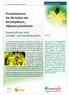 Praxishinweise für die Kultur der Becherpflanze, Silphium perfoliatum