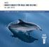 WDC UNSER EINSATZ FÜR WALE UND DELFINE im Jahr Eine Welt, in der alle Wale und Delfine in Freiheit und Sicherheit leben.
