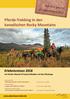 Pferde-Trekking in den kanadischen Rocky Mountains
