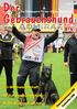 Fotos: Jürgen Rixen. Deutsche Meisterin des PSK 2012: Anni Warfen mit Bachus vom Alten Kamp