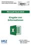 Microsoft Excel 2016 Eingabe von Informationen