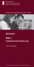 Bachelor BWL / Industrieversicherung