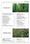 Inhaltsverzeichnis. 3.3 Leben im Waldboden Übung: Leben im Waldboden Regenwürmer leben unter der Erde Übung: Regenwürmer...