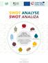 SWOT ANALYSE SWOT ANALIZA