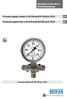 Pressure gauge model 4, NS100 and NS160 per ATEX. Druckmessgerät Typ 4, NG100 und NG160 nach ATEX