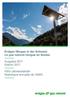 Erdgas/Biogas in der Schweiz Le gaz naturel/biogaz en Suisse. Ausgabe 2017 Edition VSG-Jahresstatistik Statistique annuelle de l ASIG