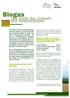 Biogas. aus Sicht des Umweltund Naturschutzes. Methanerträge von Energiepflanzen (nach KTBL 2006): Nachwachsende Rohstoffe (NawaRo)