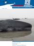 »wattenmeer« Kein Meer für diese Wale Hörnum-Odde Kitesurfen wo und wie im Wattenmeer?