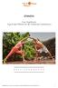 SPANIEN. Casa Yogafriends: Yoga & Sport Retreat auf der Vulkaninsel Fuerteventura D E T A I L P R O G R A M M