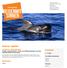Kanaren, Spanien. La Gomera - blau und weit 8-tägige Ozeanische Woche mit Wal- und Delfinbeobachtungen und einem deutschsprachigen Meeresbiologen