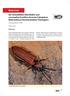 Rote Liste. der Schnellkäfer, Weichkäfer und verwandter Familien (Insecta: Coleoptera: Elateroidea et Derodontoidea) Thüringens