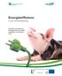Energieeffizienz. in der Schweinehaltung. Sinnvoller und sparsamer Energieeinsatz in der Ferkelproduktion