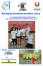 Badmintoninformation 2013