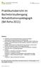 Praktikumsbericht im Bachelorstudiengang Rehabilitationspädagogik (BA Reha 2011)
