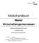 Modulhandbuch. Master Wirtschaftsingenieurwesen. Studienordnungsversion: 2010 Vertiefung: MB. gültig für das Sommersemester 2017