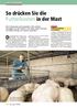 So drücken Sie die Futterkosten in der Mast