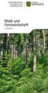 Wald und Forstwirtschaft. in Sachsen