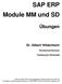 SAP ERP Module MM und SD