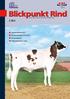 W Zuchtwertschätzung W Generalversammlungen LKV und RZB W Fleischrindauktionen W Rinderleistungsschau in Luckau