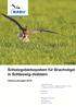 Schutzgebietssystem für Brachvögel in Schleswig-Holstein- Bericht Schutzgebietssystem für Brachvögel in Schleswig-Holstein Bericht 2016