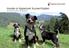 Hunde in Appenzell Ausserrhoden Informationsbroschüre zur Hundehaltung