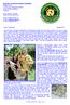 Dog and Cat Rescue Samui Foundation Brigitte Gomm 112/35 Moo 6 Bophut/Chaweng Samui Suratthani Thailand