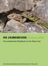 DIE ZAUNEIDECHSE (Lacerta agilis) Eine einheimische Reptilienart auf der Roten Liste. Eine Informationsbroschüre für Bauherren in Neu-Ulm