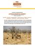 ENTDECKUNGSREISE NAMIBIA 13 TAGE AB/BIS WINDHOEK, ABREISE SAMSTAGS MAXIMAL 20 REISEGÄSTE