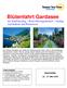 Blütenfahrt Gardasee mit Schiffsausflug Wein-/Olivengutbesuch Ausflug zum Kalterer See/Weinstrasse